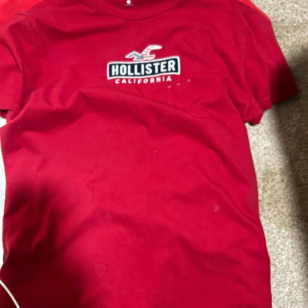 Hollister T Shirt